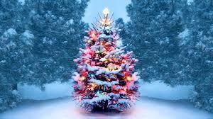 F&M Bank Sponsors Holiday Fun at FCMS