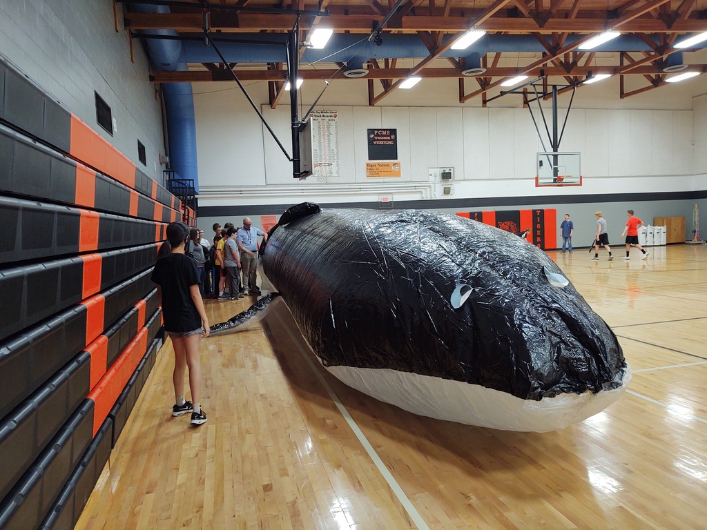 whale 2