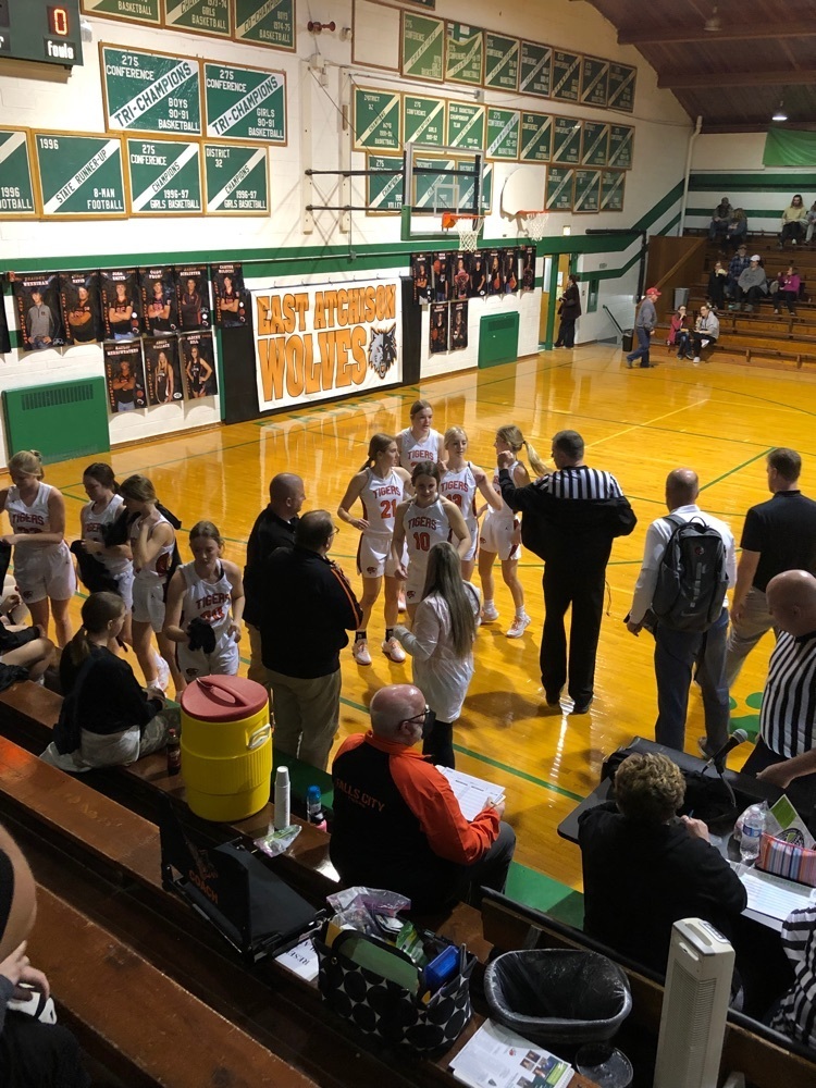 lady Tigers